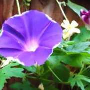 ヒメ日記 2025/07/04 19:26 投稿 あき 梅田アバンチュール