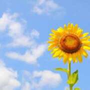 ヒメ日記 2025/07/19 07:54 投稿 あき 梅田アバンチュール