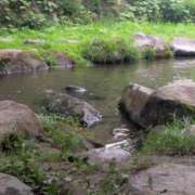 ヒメ日記 2025/08/07 14:02 投稿 あき 梅田アバンチュール