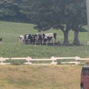 ヒメ日記 2025/08/17 12:14 投稿 あき 梅田アバンチュール