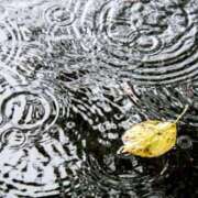 ヒメ日記 2025/09/05 08:30 投稿 あき 梅田アバンチュール