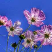 ヒメ日記 2025/09/22 08:01 投稿 あき 梅田アバンチュール