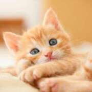 ヒメ日記 2025/09/24 07:54 投稿 あき 梅田アバンチュール