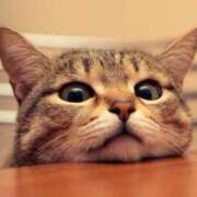 ヒメ日記 2025/09/26 08:01 投稿 あき 梅田アバンチュール