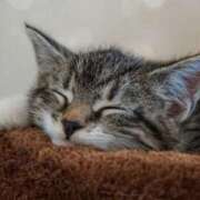 ヒメ日記 2025/10/02 08:01 投稿 あき 梅田アバンチュール