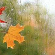 ヒメ日記 2025/10/15 08:01 投稿 あき 梅田アバンチュール