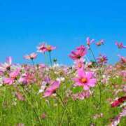 ヒメ日記 2025/10/20 08:01 投稿 あき 梅田アバンチュール