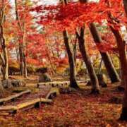 ヒメ日記 2025/11/11 08:18 投稿 あき 梅田アバンチュール