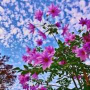 ヒメ日記 2025/11/19 09:09 投稿 あき 梅田アバンチュール