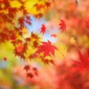 ヒメ日記 2025/11/25 08:12 投稿 あき 梅田アバンチュール