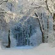 ヒメ日記 2025/12/05 08:12 投稿 あき 梅田アバンチュール