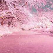 ヒメ日記 2026/02/10 09:12 投稿 あき 梅田アバンチュール