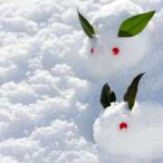 ヒメ日記 2026/02/19 09:35 投稿 あき 梅田アバンチュール