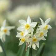 ヒメ日記 2026/02/20 11:12 投稿 あき 梅田アバンチュール