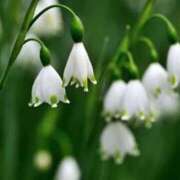 ヒメ日記 2026/02/24 09:12 投稿 あき 梅田アバンチュール