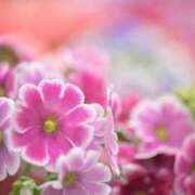 ヒメ日記 2026/02/27 09:17 投稿 あき 梅田アバンチュール