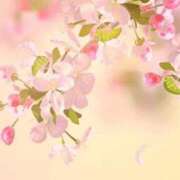 ヒメ日記 2026/03/01 13:19 投稿 あき 梅田アバンチュール