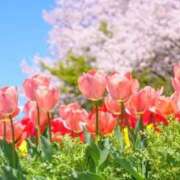 ヒメ日記 2026/03/05 10:05 投稿 あき 梅田アバンチュール