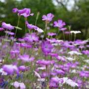 ヒメ日記 2026/03/06 09:03 投稿 あき 梅田アバンチュール