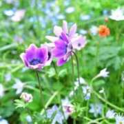 ヒメ日記 2026/03/07 09:14 投稿 あき 梅田アバンチュール