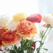 ヒメ日記 2026/03/08 11:52 投稿 あき 梅田アバンチュール