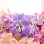 ヒメ日記 2026/03/09 09:14 投稿 あき 梅田アバンチュール