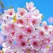 ヒメ日記 2026/03/11 09:58 投稿 あき 梅田アバンチュール