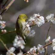 ヒメ日記 2026/03/12 10:02 投稿 あき 梅田アバンチュール