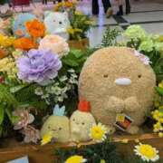 ヒメ日記 2026/03/17 09:52 投稿 あき 梅田アバンチュール