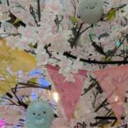 ヒメ日記 2026/03/18 09:52 投稿 あき 梅田アバンチュール