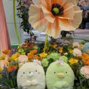 ヒメ日記 2026/03/19 09:06 投稿 あき 梅田アバンチュール