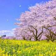 ヒメ日記 2026/03/20 10:02 投稿 あき 梅田アバンチュール