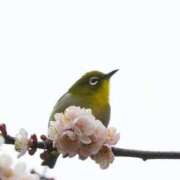 ヒメ日記 2026/03/23 10:58 投稿 あき 梅田アバンチュール