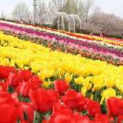 ヒメ日記 2026/04/08 22:25 投稿 あき 梅田アバンチュール