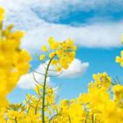 ヒメ日記 2026/04/10 09:16 投稿 あき 梅田アバンチュール