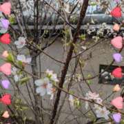 ヒメ日記 2026/04/14 09:55 投稿 あき 梅田アバンチュール