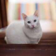 ヒメ日記 2026/04/22 09:22 投稿 あき 梅田アバンチュール