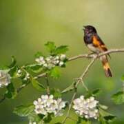 ヒメ日記 2026/04/30 09:42 投稿 あき 梅田アバンチュール