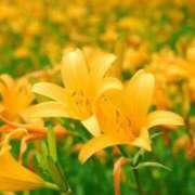 ヒメ日記 2026/07/01 09:12 投稿 あき 梅田アバンチュール