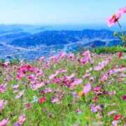 ヒメ日記 2026/09/01 09:24 投稿 あき 梅田アバンチュール