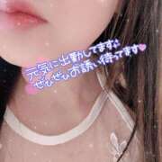 蓮(れん) 出勤♡ PLUS難波店