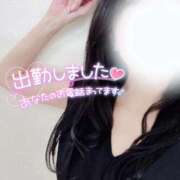 蓮(れん) 出勤しました PLUS難波店