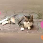 ヒメ日記 2025/08/19 19:05 投稿 東雲（しののめ） 熟女の風俗最終章 大宮店