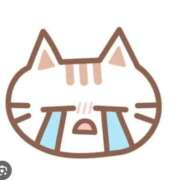 ヒメ日記 2025/09/11 15:45 投稿 東雲（しののめ） 熟女の風俗最終章 大宮店