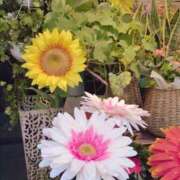 ヒメ日記 2025/09/30 03:15 投稿 東雲（しののめ） 熟女の風俗最終章 大宮店