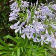 ヒメ日記 2025/07/13 06:40 投稿 ゆず 性腺熟女100％（デリヘル市場）