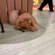 ヒメ日記 2025/09/02 13:09 投稿 柊木るな ザイオン 会員制アロマエステ