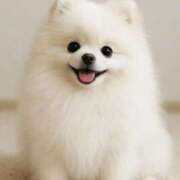 ヒメ日記 2025/09/29 19:09 投稿 柊木るな ザイオン 会員制アロマエステ