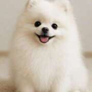 ヒメ日記 2025/09/30 15:29 投稿 柊木るな ザイオン 会員制アロマエステ