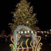 ヒメ日記 2026/01/16 16:00 投稿 なぎこ 越谷熟女デリヘル マダムエプロン